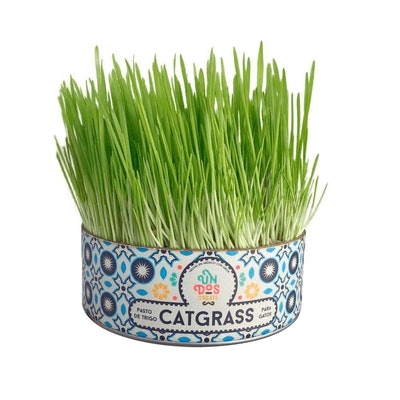 Petmarkt Un Dos Treats Catgrass
