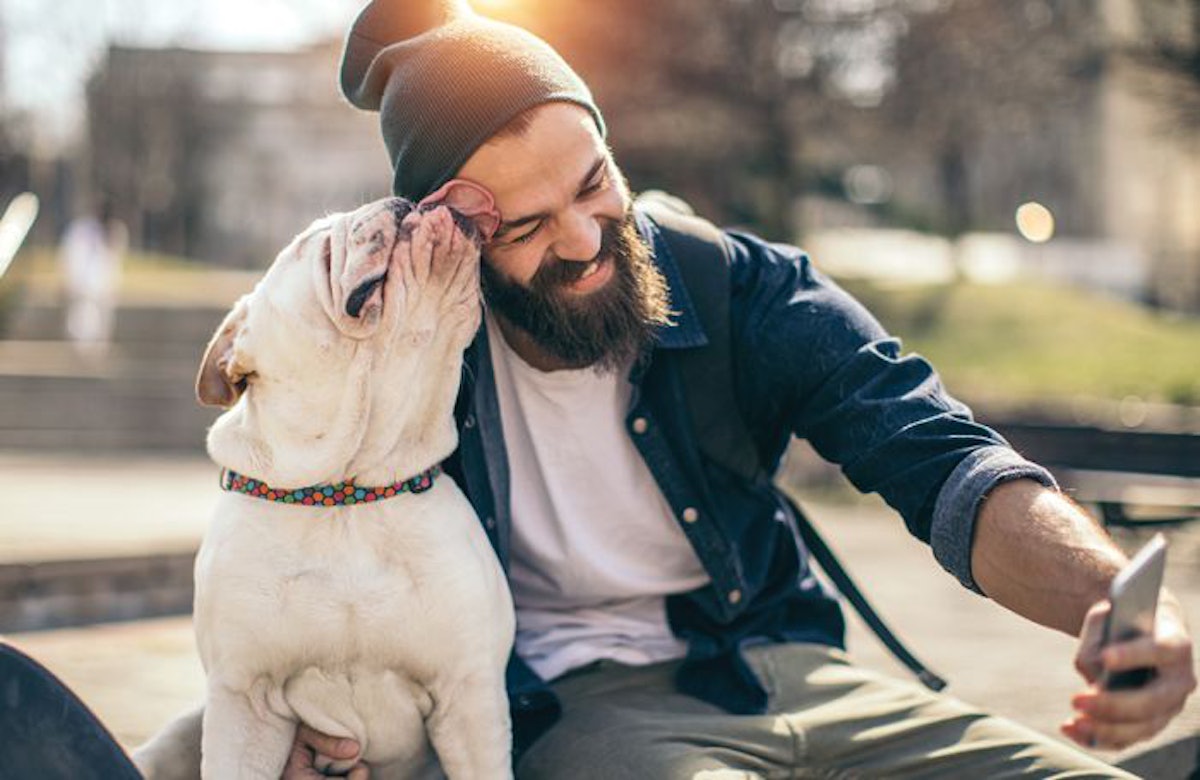 Blue Buffalo pet food launches pet owner social media app PetfoodIndustry