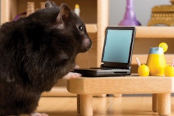 Online marketing provides plenty of opportunities for pet food packaging to expand its branding role. (Husar Kristian | iStockPhoto.com)