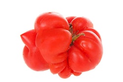 Sheila_F | BigStock.com