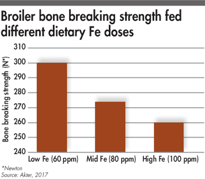 Broiler Bone Breaking Coorelation Iron Intake