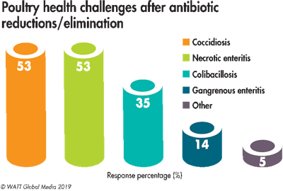 Poultry Health Issues Without Ag Ps 2019