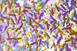 The human microbiome is an area of increasing interest and study, and that research has expanded into the companion animal sphere. (ChrisChrisW | iStockPhoto.com)