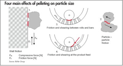 Figure 1: Friction and shearing forces affecting particle size during pelleting: 1. Friction forces between particles and the die-hole-wall. 2. Friction forces between particles. 3. Friction forces between rolls and bars. 4. Friction and shearing at the product feed. (Courtesy Bühler Group)