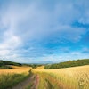 Parts of Kansas and Missouri comprise the Animal Health Corridor, an area of the U.S. filled with importance to the pet food industry. (science photo | Shutterstock.com)