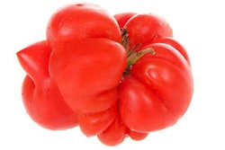 Discarded human foods can be used in pet foods and treats, helping reduce food waste and ensure sustainable pet food ingredient supplies. (Sheila_F | BigStock.com)