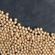 In the midst of a “wholegrains” trend in human food, it might be worth it to look at whole soybeans as a possible pet food ingredient. (US 2015 | Shutterstock.com)