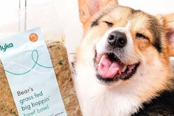 Lyka has a subscription model that allows for superpremium pet food to reach its customers’ doorsteps as needed.| Photo courtesy Lyka