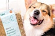 Lyka has a subscription model that allows for superpremium pet food to reach its customers’ doorsteps as needed.| Photo courtesy Lyka