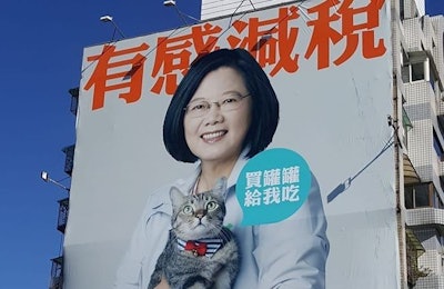 Taiwan’s cat owners might appreciate the new billboard up in Taipei, which features presidential cat Think Think. | Joey Gork, Taiwan News