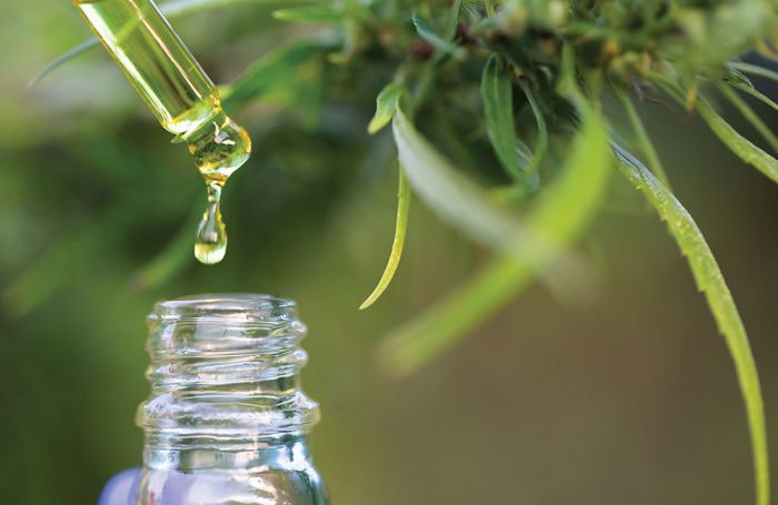 What to Look for in a Trusted Manufacturer What to Look for in a Trusted Manufacturer