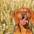 (MartinFredy | BigStock.com)