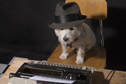 (Steve Pepple, BigStock.com)