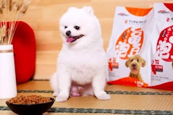 Doggyman’s new products are ideal for smaller dogs due to the kibble’s small size options. | Courtesy Doggyman