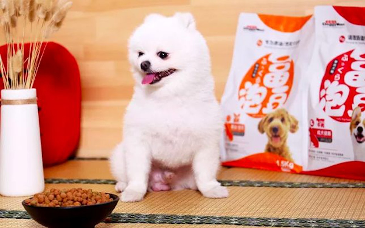 Doggyman introduces soy based dog food for China market PetfoodIndustry