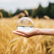 Gajus | Shutterstock.com