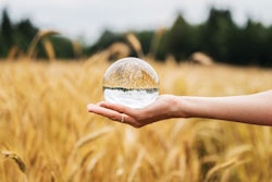 Gajus | Shutterstock.com
