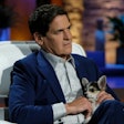 Courtesy of Shark Tank/ABC