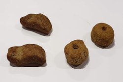 Kibble designed for Bulldogs, on left, and Labrador Retriever, on right. (Tim Wall)