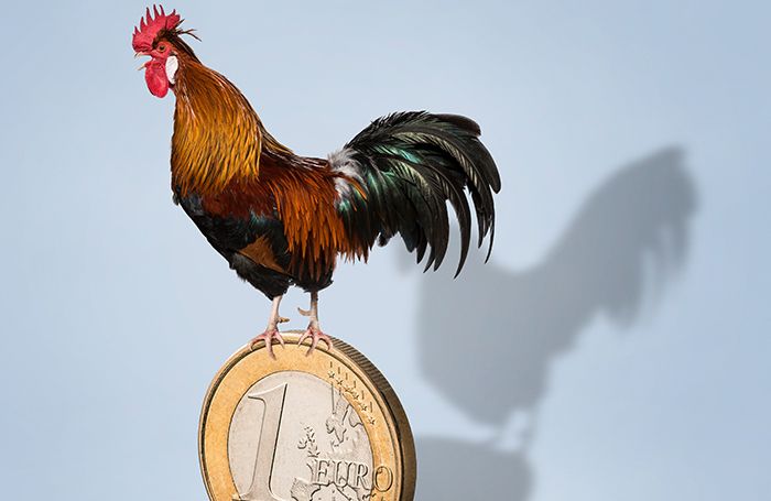 Europe&rsquo;s poultry companies continue to invest and grow, focusing both on home and overseas markets. (D-Keine | iStock.com)