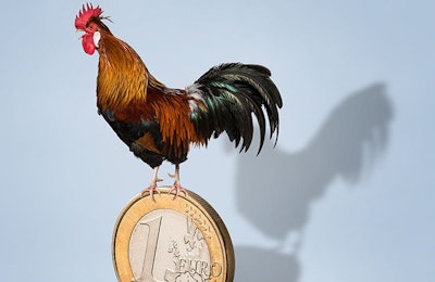 Europe&rsquo;s poultry companies continue to invest and grow, focusing both on home and overseas markets. (D-Keine | iStock.com)