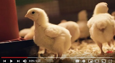 Image courtesy of DuPont Danisco Animal Nutrition