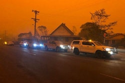 Courtesy of RSPCA NSW