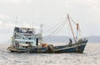 Labor abuses in fisheries in Asia have generated negative press and even lawsuits for pet food manufacturers. (FOTER)