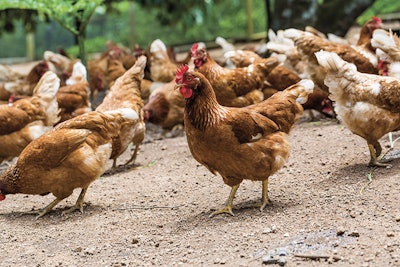 teptong | BigStock.com