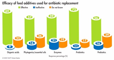 Probiotics and organics acids — when used alone or in combination with other additives — rank highly as effective solutions in antibiotic-free diets. (WATT Global Media)
