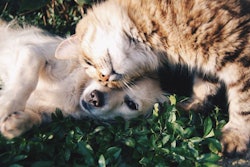 Photo by Snapwire | Pexels.com