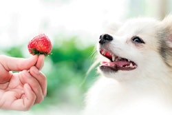 Image courtesy of Tree Top Ingredients