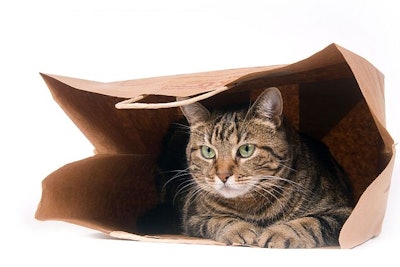 Cat In Paper Bag Grocery Fdm Mass Market