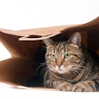 (EEI_Tony | BigStock.com)