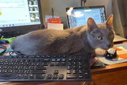 Pets like Deacon can provide company (and sometimes distractions) as we work from home. (photo by Debbie Phillips-Donaldson)