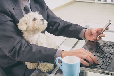 Man Working At Home Dog Remote Work Rowe