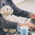 (Amaviael, Bigstock.com)