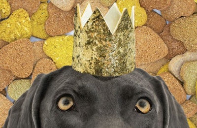 The Dog Treat Company’s treats (approved of by Weimaraner Penelope Pearl Pedersen, AKA Penny, pictured) highlight the company’s desire to provide all-natural, hand-baked options with simple ingredients to dogs all over the world. | Courtesy The Dog Treat Company