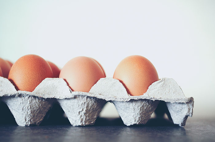 Cat Act Art | shutterstock.com