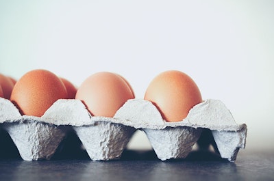 Cat Act Art | shutterstock.com