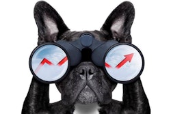 Insights into a few questions may provide short-term clues to how the pet food market will emerge on the other side of the COVID-19 crisis. | (Javier Brosch | Fotolia)