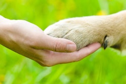 (Ermolaev Alexander | Shutterstock.com)