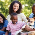 The COVID-19 pandemic has affected pet adoptions in a positive way, as people find they have more time at home to take care of a new animal. (Monkey Business Images | Shutterstock.com)