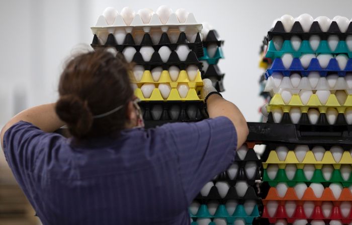 MPS Egg Farms has kept up with the demand for eggs during the COVID-19 pandemic. (MPS Egg Farms)