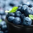 Blueberries are known as a superfood in the human food space, but does that use translate to the pet food arena? | (Brian A Jackson | Shutterstock.com)