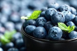 Blueberries are known as a superfood in the human food space, but does that use translate to the pet food arena? | (Brian A Jackson | Shutterstock.com)