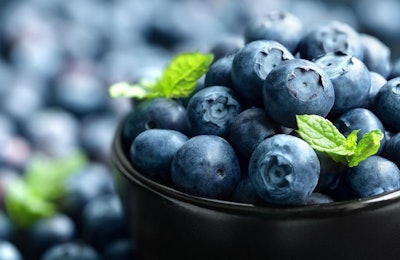 Blueberries are known as a superfood in the human food space, but does that use translate to the pet food arena? | (Brian A Jackson | Shutterstock.com)