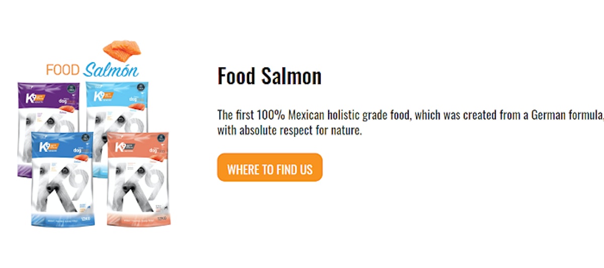 Q holistic dog food clearance