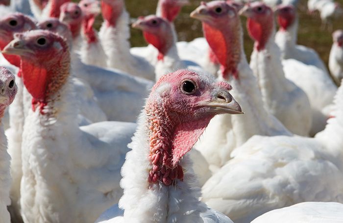 (Joan Wozniak | iStockPhoto.com)