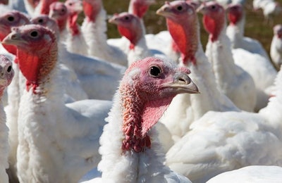 (Joan Wozniak | iStockPhoto.com)